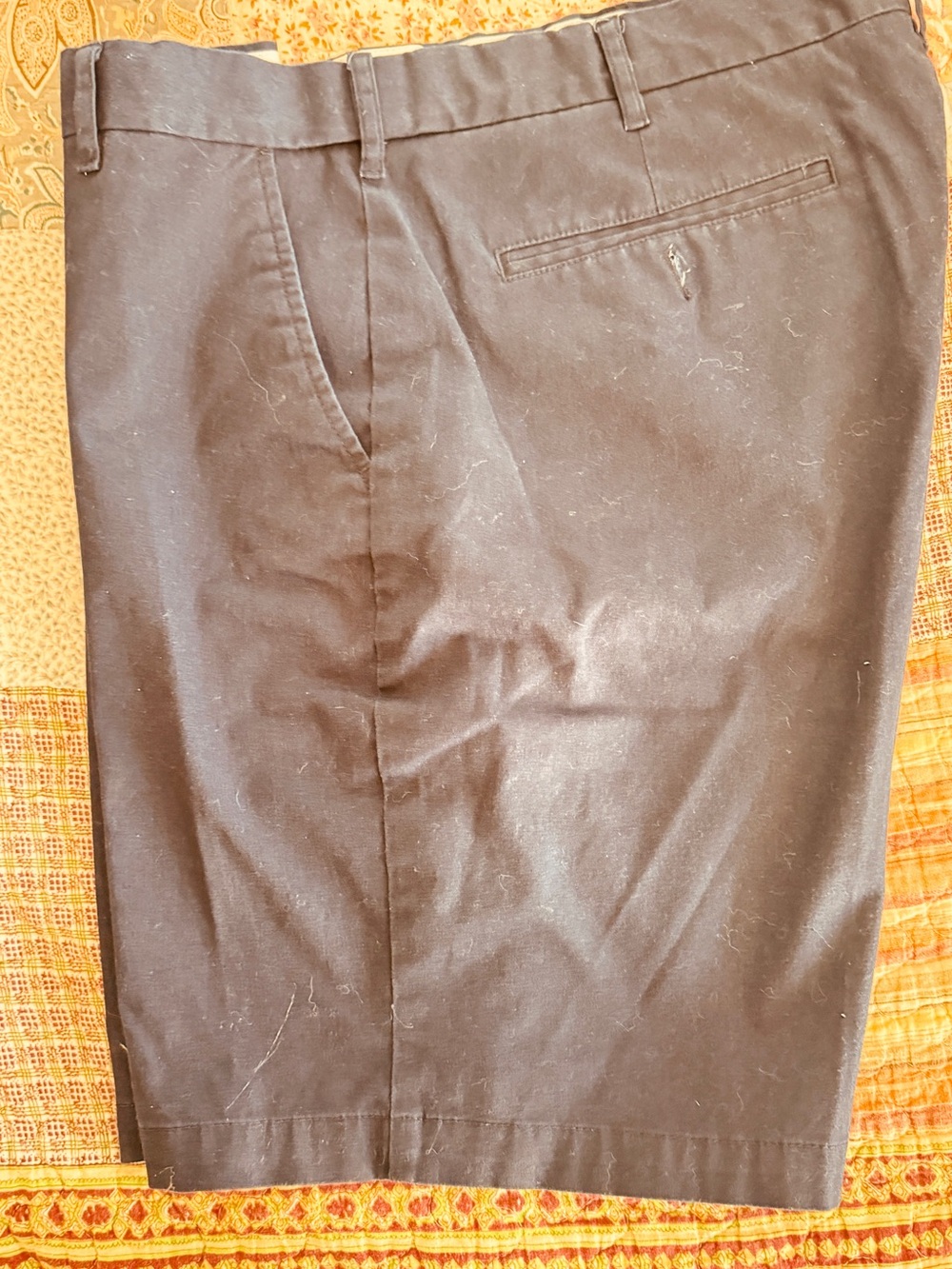 Saddlebred Black Men's Dress Pants - Straight Leg